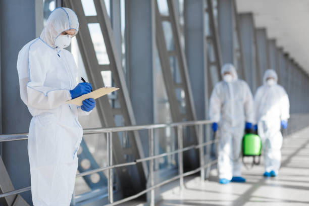 Best Basement Mold Removal  in Old Jefferson, LA