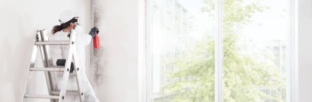 Best Air Quality Testing for Mold Spores  in Old Jefferson, LA