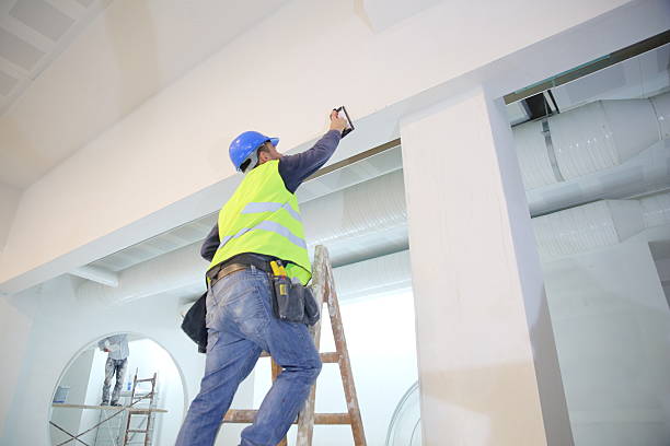 Best Environmental Consulting for Mold Prevention  in Old Jefferson, LA