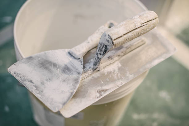 Best Asbestos and Lead Testing During Mold Inspection  in Old Jefferson, LA